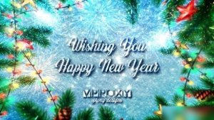 Videohive New Year Wishes 42404845 Openers template preview