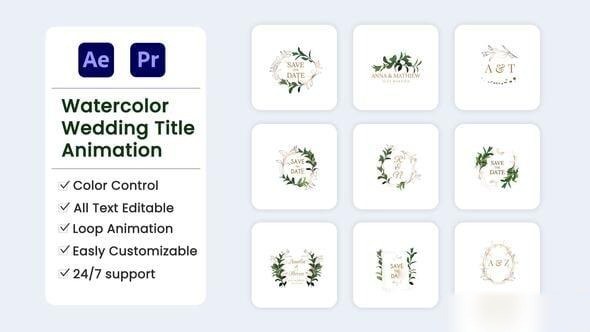 Videohive Watercolor Wedding Title Frame Titles template preview