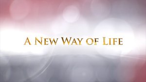 Wedding Trailer Titles Video Displays template preview