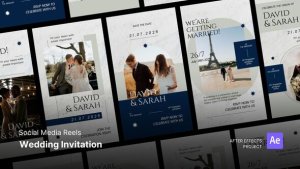 Videohive Reels - Wedding Invitation Video Displays template preview