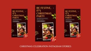 Videohive Christmas Celebration Instagram Stories Openers template preview