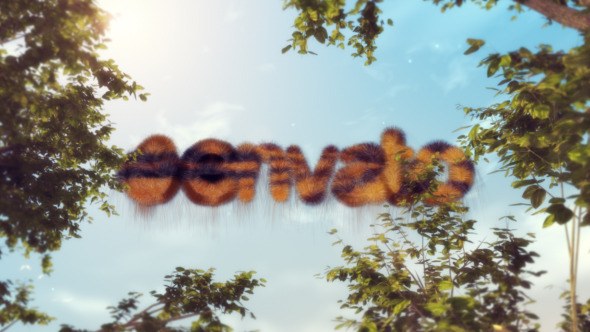 Videohive Into The Jungle Logo Stings template preview