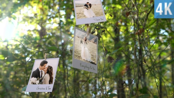 Photo Memories on Trees Video Displays template preview