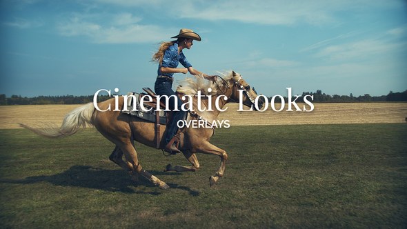 Cinematic Looks Overlay Toolkit for Premiere Pro Premiere Pro template preview
