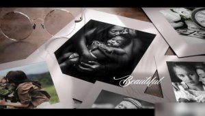 Videohive Modern Photo Memories Vintage Slideshow Openers template preview