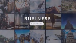 Videohive Business | Elegant Gallery Video Displays template preview