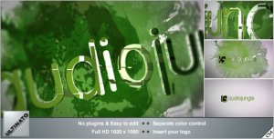 Ink Logo Video Displays template preview