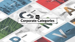 Videohive Corporate Categories Infographics template preview