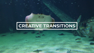 Videohive Creative Transitions 43220143 Broadcast-packages template preview