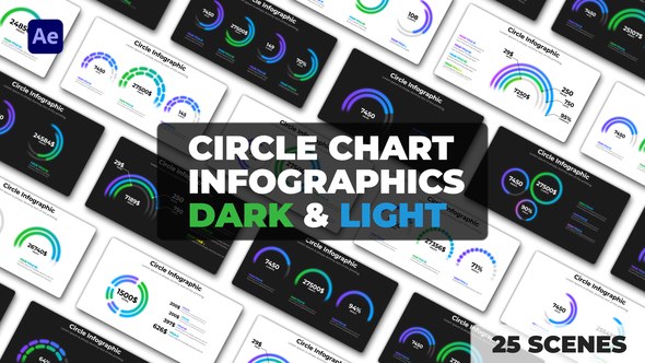 Videohive Circle Chart Infographics | Dark and Light Themes Infographics template preview