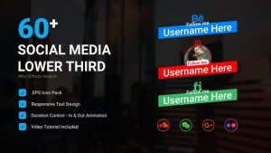 Videohive Social Media Lower Third V2 Elements template preview