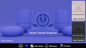 Videohive Smart Home Experts Logo Stings template preview