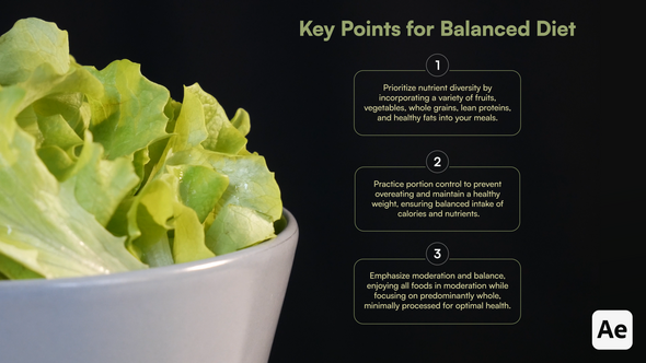 Videohive List Titles & Key Points Titles template preview