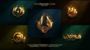 Videohive Golden Breath Logo Stings template preview