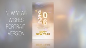 Videohive New Year Wishes 2025_Portrait Openers template preview