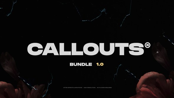 Videohive Call Outs 43429194 Elements template preview