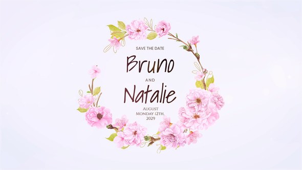 Videohive Wedding Titles 57614065 Openers template preview