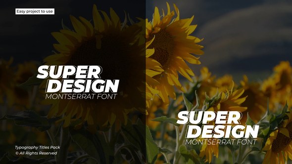 Videohive Typography Titles 1.0 | After Effects 49346173 Titles template preview