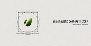 Minimalistic Corporate Story Video Displays template preview