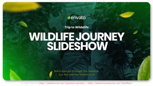 Videohive Wildlife Journey Slideshow Video Displays template preview