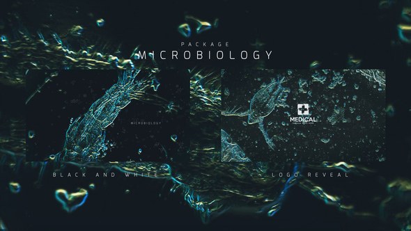 Videohive Microbiology Package Openers template preview