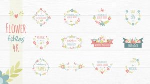 Flower Titles Video Displays template preview