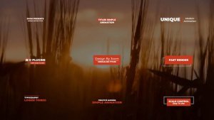 Videohive Minimal Titles 2.0 | After Effects 40727833 Titles template preview