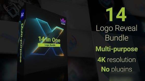 Videohive Logo Reveal Bundle | 14 in One Logo Stings template preview