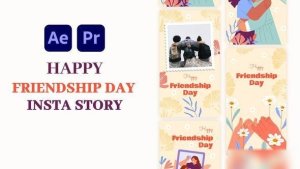 Videohive Happy friendship Day Instagram Story Elements template preview