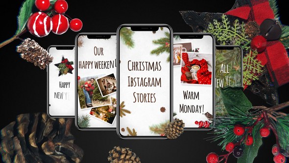 Videohive Christmas Instagram Stories 29480659 Product Promo template preview