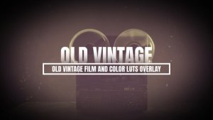 Videohive Old Vintage Film and Color Luts Overlay Elements template preview