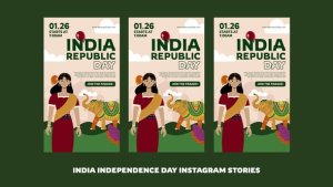 Videohive India Independence Day Instagram Story Openers template preview