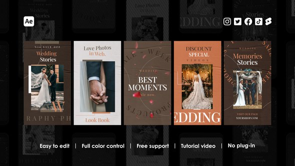 Videohive Wedding Instagram Stories 46547024 Product Promo template preview