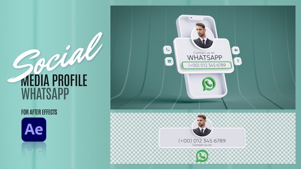 Videohive Social Media Profile - WhatsApp Elements template preview