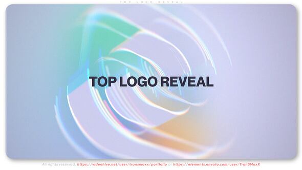 Videohive Top Logo Reveal Logo Stings template preview
