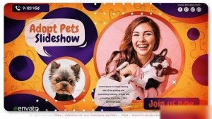 Videohive Adopt Me - Pet Promo Openers template preview