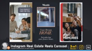 Videohive Instagram Real Estate Reels Carousel Product Promo template preview