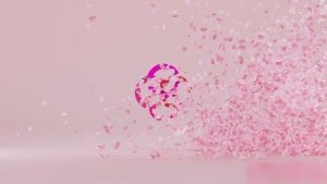 Videohive Petals Logo Reveal 35880237 Logo Stings template preview