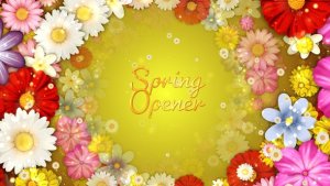 Videohive Spring Flowers Titles Titles template preview
