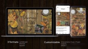 Videohive Thanksgiving Opener Openers template preview