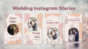 Videohive Wedding Instagram Stories 50950949 Video Displays template preview