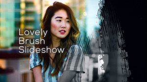 Videohive Lovely Brush Slideshow Video Displays template preview