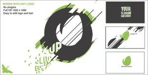 Videohive Graphic Reveal Logo Logo Stings template preview