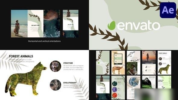 Videohive Nature Slides | After Effects Openers template preview