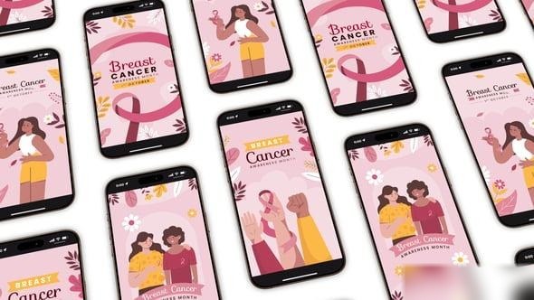 Videohive Breast Cancer Awareness Instagram Stories Product Promo template preview
