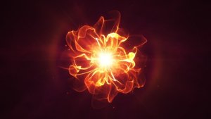 Videohive Golden Flower Logo Reveal Logo Stings template preview