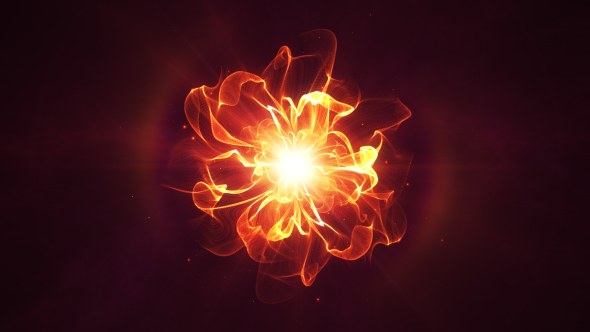 Videohive Golden Flower Logo Reveal Logo Stings template preview