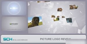 Videohive Picture Logo Reveal Logo Stings template preview
