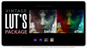 Vintage LUTs Presets Collection Premiere Pro template preview