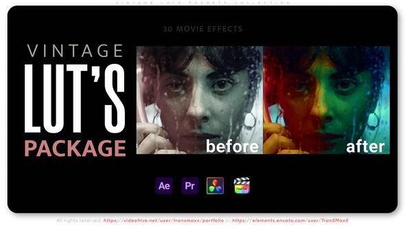 Vintage LUTs Presets Collection Premiere Pro template preview